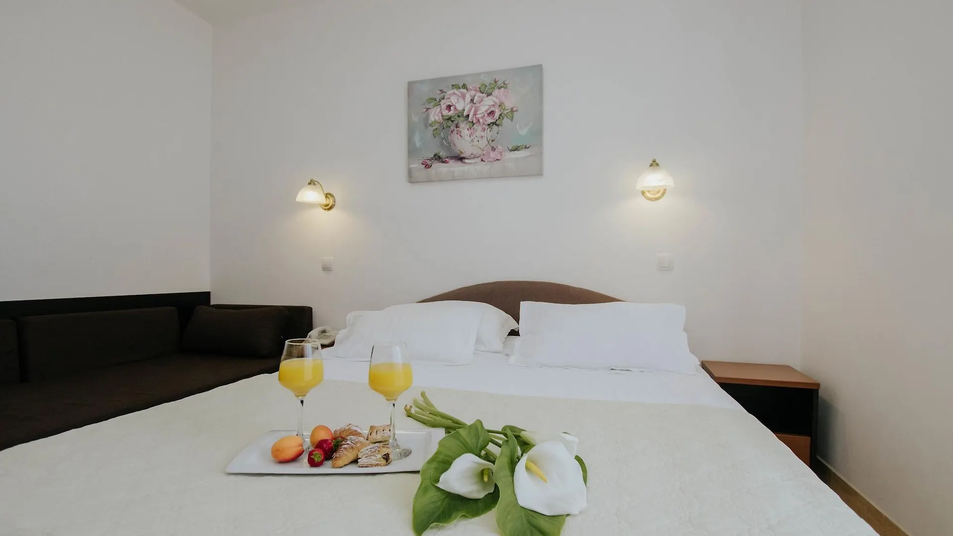 Hotel Vila Tina Arbanija