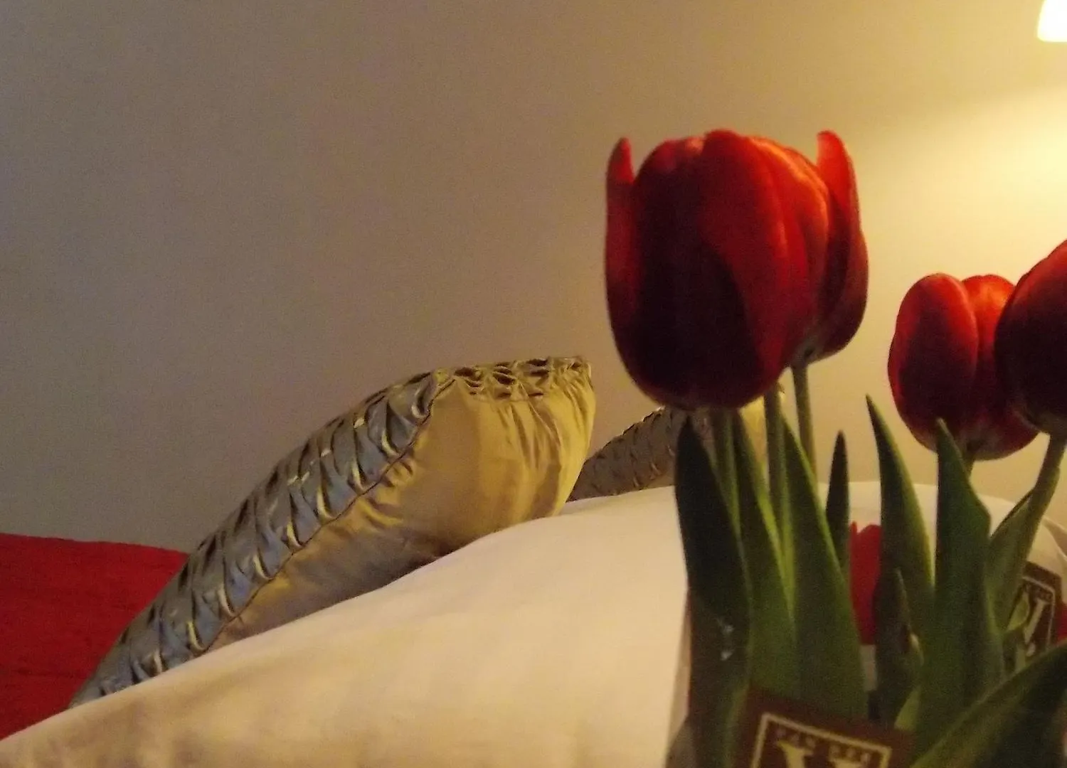 Hotel Vila Tina